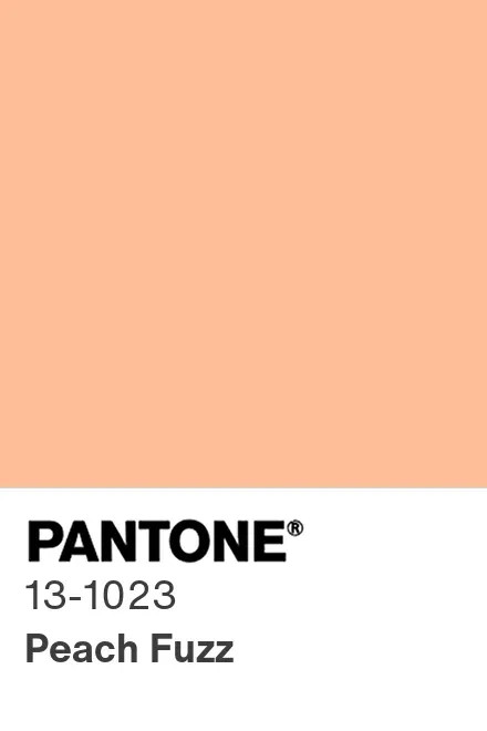 Peach Fuzz - Pantone Farbe 2024